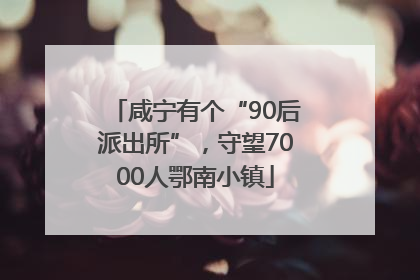 咸宁有个“90后派出所”，守望7000人鄂南小镇
