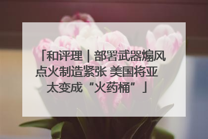 和评理｜部署武器煽风点火制造紧张 美国将亚太变成“火药桶”