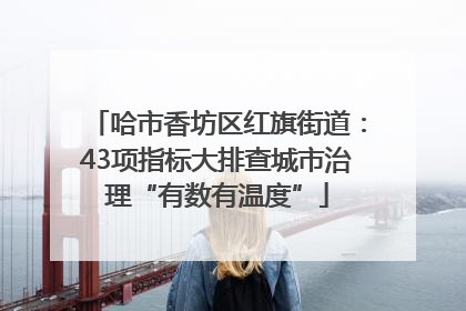 哈市香坊区红旗街道：43项指标大排查城市治理“有数有温度”