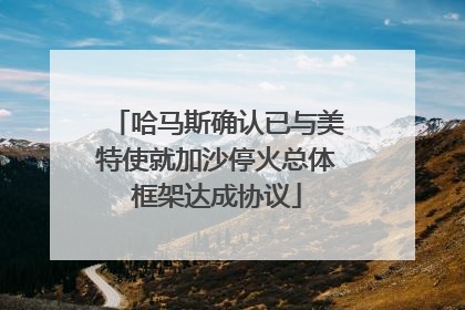 哈马斯确认已与美特使就加沙停火总体框架达成协议