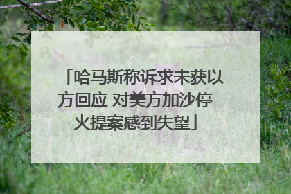哈马斯称诉求未获以方回应 对美方加沙停火提案感到失望