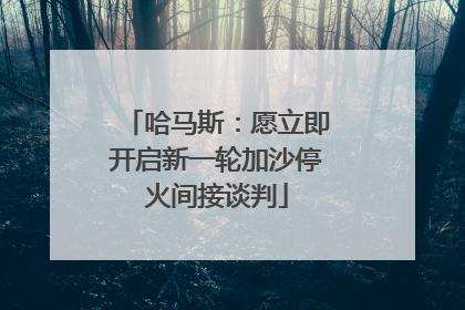 哈马斯：愿立即开启新一轮加沙停火间接谈判