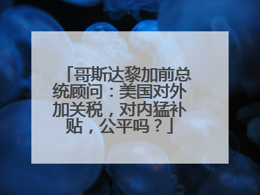 哥斯达黎加前总统顾问：美国对外加关税，对内猛补贴，公平吗？