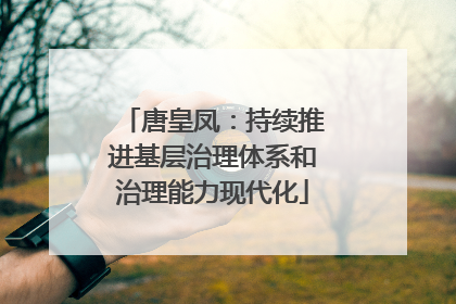 唐皇凤：持续推进基层治理体系和治理能力现代化