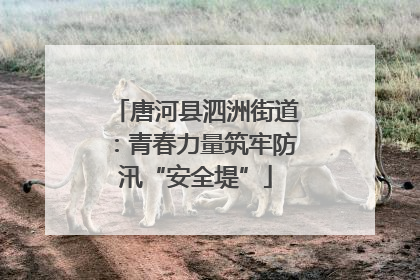 唐河县泗洲街道：青春力量筑牢防汛“安全堤”