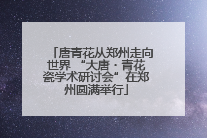 唐青花从郑州走向世界 “大唐・青花瓷学术研讨会”在郑州圆满举行