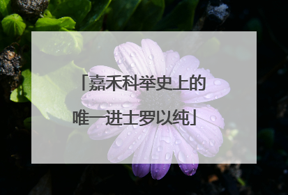嘉禾科举史上的唯一进士罗以纯