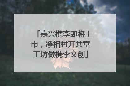 嘉兴槜李即将上市，净相村开共富工坊做槜李文创