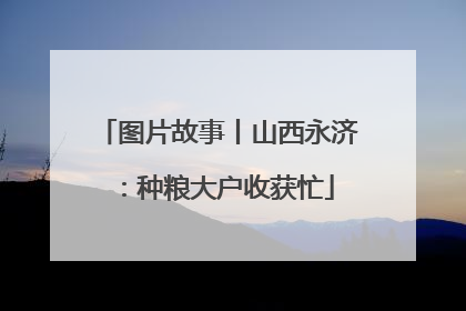 图片故事丨山西永济：种粮大户收获忙