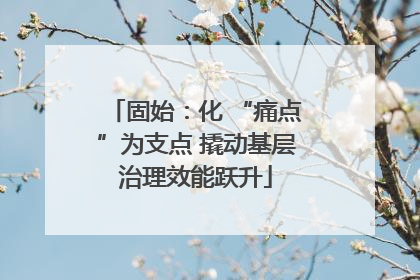 固始：化 “痛点”为支点 撬动基层治理效能跃升