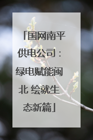 国网南平供电公司：绿电赋能闽北 绘就生态新篇