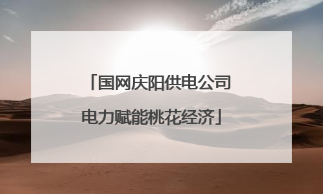 国网庆阳供电公司电力赋能桃花经济