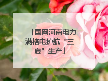 国网河南电力满格电护航“三夏”生产