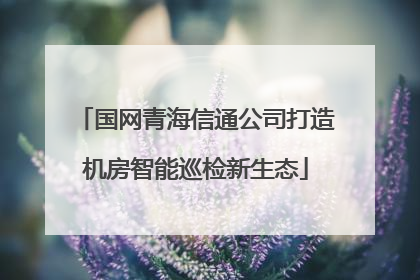 国网青海信通公司打造机房智能巡检新生态