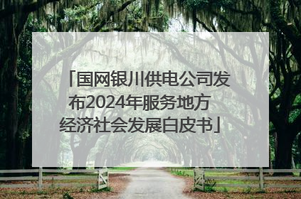 国网银川供电公司发布2024年服务地方经济社会发展白皮书