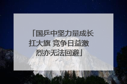 国乒中坚力量成长扛大旗 竞争日益激烈亦无法回避