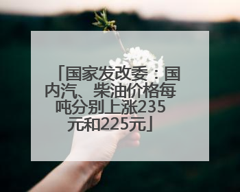 国家发改委：国内汽、柴油价格每吨分别上涨235元和225元