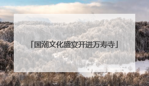国潮文化盛宴开进万寿寺