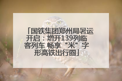 国铁集团郑州局暑运开启：增开139列临客列车 畅享“米”字形高铁出行圈