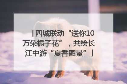四城联动“送你10万朵栀子花”，共绘长江中游“夏香图景”