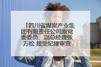四川省煤炭产业集团有限责任公司原党委委员、副总经理张万松 接受纪律审查和监察调查