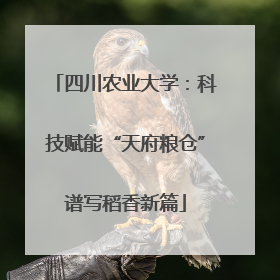 四川农业大学：科技赋能“天府粮仓”谱写稻香新篇