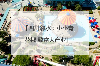 四川邻水：小小青花椒 致富大产业