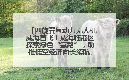 四旋翼氢动力无人机威海首飞！威海临港区探索绿色“氢路”，助推低空经济向长续航、大载重“进化”