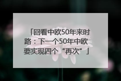 回看中欧50年来时路：下一个50年中欧要实现四个“再次”