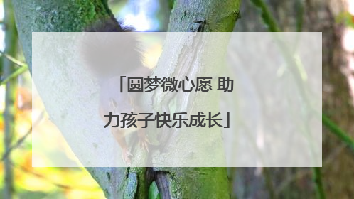 圆梦微心愿 助力孩子快乐成长