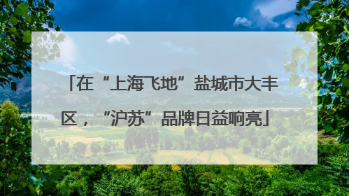 在“上海飞地”盐城市大丰区，“沪苏”品牌日益响亮