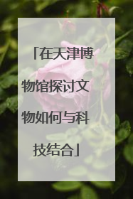 在天津博物馆探讨文物如何与科技结合