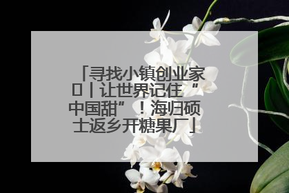 寻找小镇创业家㉛丨让世界记住“中国甜”！海归硕士返乡开糖果厂