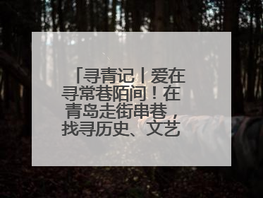 寻青记丨爱在寻常巷陌间！在青岛走街串巷，找寻历史、文艺、爱情……