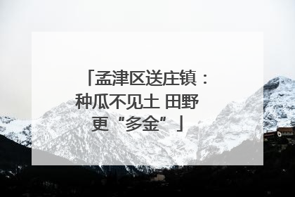 孟津区送庄镇：种瓜不见土 田野更“多金”