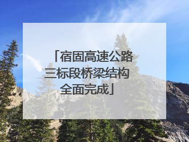 宿固高速公路三标段桥梁结构全面完成