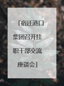 宿迁港口集团召开挂职干部交流座谈会