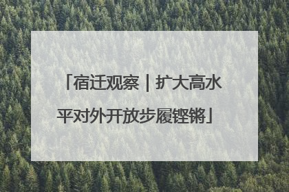 宿迁观察｜扩大高水平对外开放步履铿锵