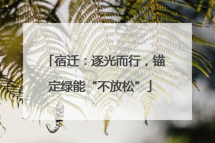 宿迁：逐光而行，锚定绿能“不放松”