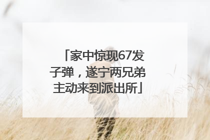 家中惊现67发子弹，遂宁两兄弟主动来到派出所
