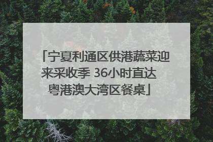 宁夏利通区供港蔬菜迎来采收季 36小时直达粤港澳大湾区餐桌