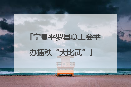 宁夏平罗县总工会举办插秧“大比武”