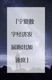 宁夏数字经济发展跑出加速度