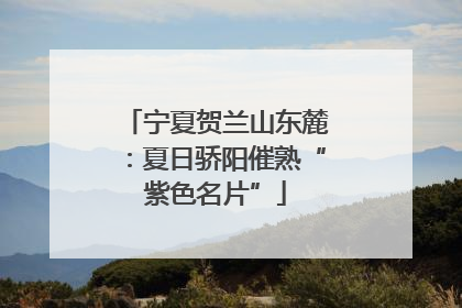 宁夏贺兰山东麓：夏日骄阳催熟“紫色名片”