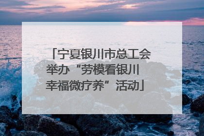 宁夏银川市总工会举办“劳模看银川 幸福微疗养”活动