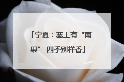 宁夏：塞上有“南果” 四季别样香