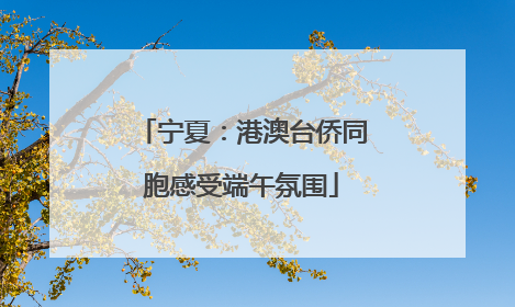 宁夏：港澳台侨同胞感受端午氛围