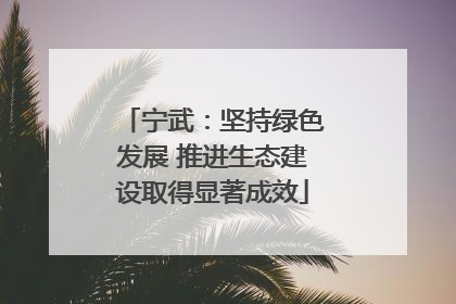 宁武：坚持绿色发展 推进生态建设取得显著成效