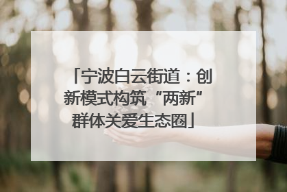 宁波白云街道：创新模式构筑“两新”群体关爱生态圈