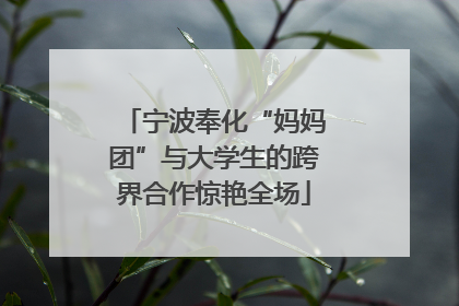 宁波奉化“妈妈团”与大学生的跨界合作惊艳全场